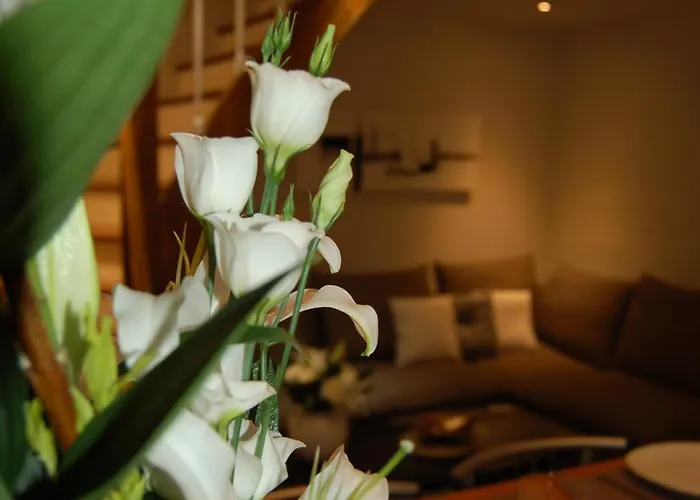 Suit'home Jacobins * Анже